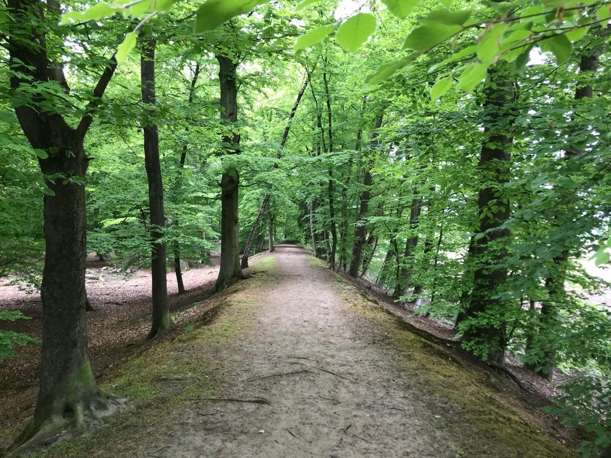 B&B 'Het Gripshuis' Vught Dış mekan fotoğraf