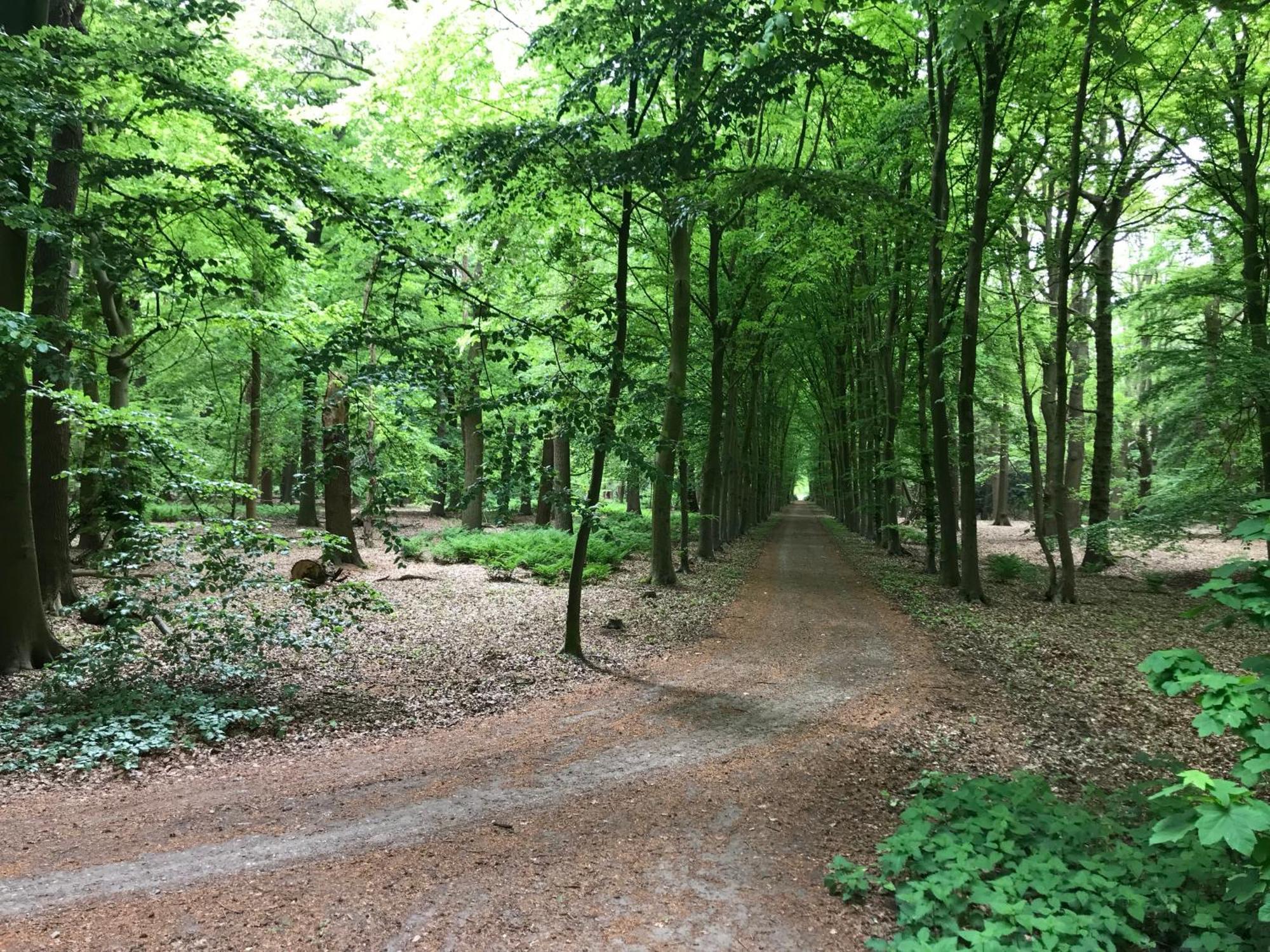 B&B 'Het Gripshuis' Vught Dış mekan fotoğraf